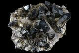 Smoky Quartz Crystal Cluster ( lbs) - Brazil #108318-1
